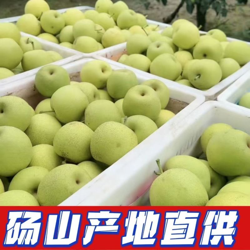 【新鲜直达】安徽砀山翠冠梨源头直采严格把控品质欢迎咨询