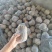 小金香南瓜