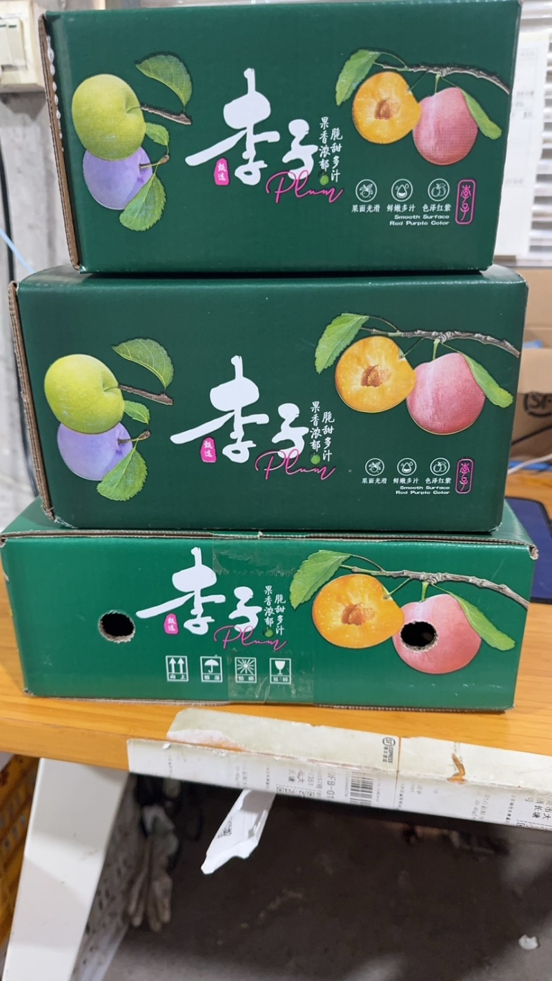 四川脱骨李