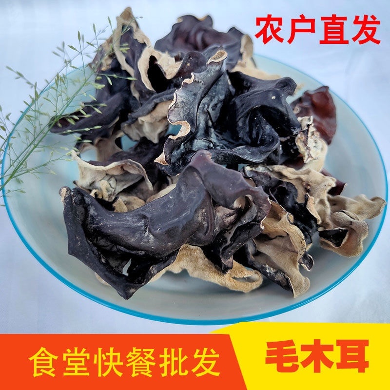 精选优质毛耳餐饮批发电商食品加工厂货源充足供应