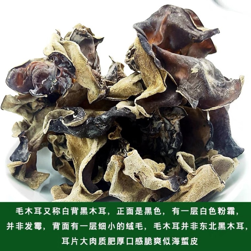 精选优质毛耳餐饮批发电商食品加工厂货源充足供应