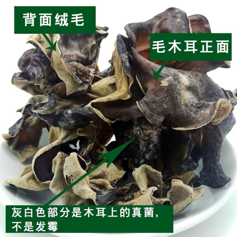 精选优质毛耳餐饮批发电商食品加工厂货源充足供应