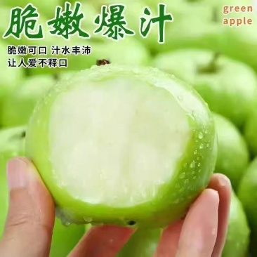 【正宗青苹】头茬青苹果新鲜水果专业一件代发
