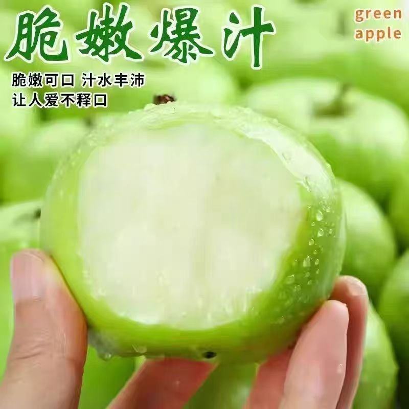 【正宗青苹】头茬青苹果新鲜水果专业一件代发