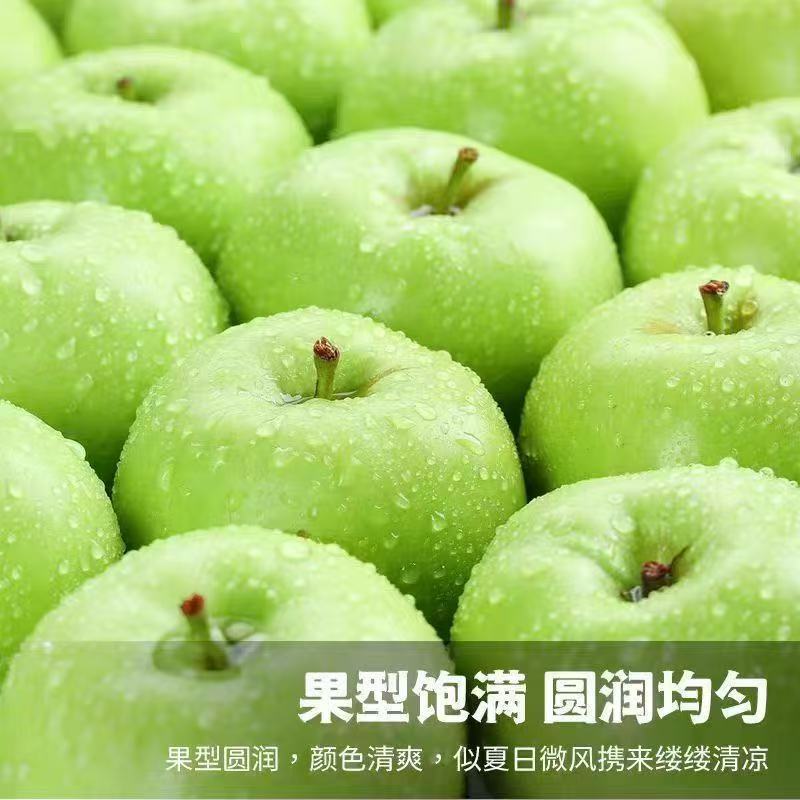 【正宗青苹】头茬青苹果新鲜水果专业一件代发