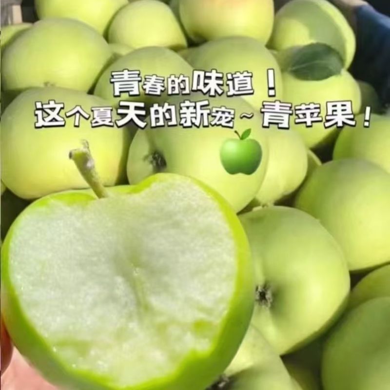 【正宗青苹】头茬青苹果新鲜水果专业一件代发