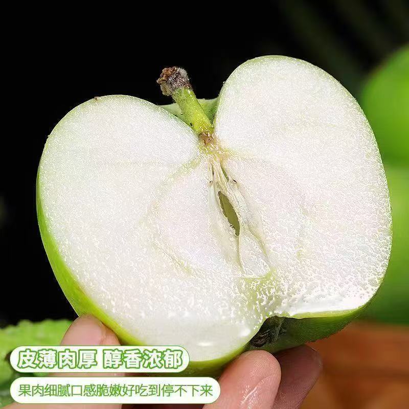 【正宗青苹】头茬青苹果新鲜水果专业一件代发