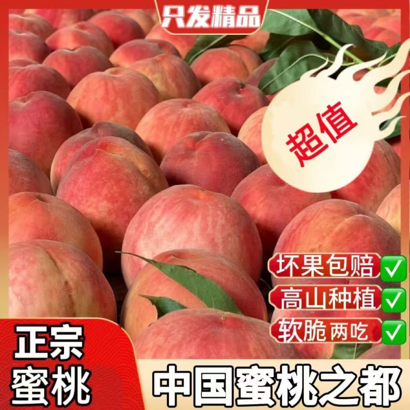 【坏果包赔】现摘水蜜桃新鲜水果软脆两吃专业一件代发