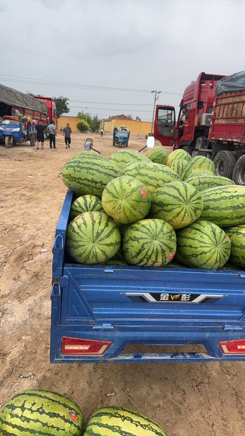 宁夏精品石头瓜硒砂瓜一手货源欢迎咨询包熟包甜全国发货