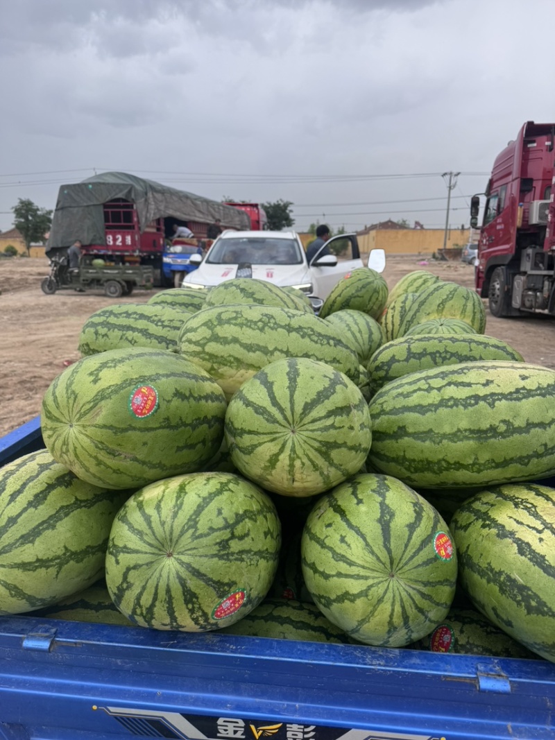 宁夏精品石头瓜硒砂瓜一手货源欢迎咨询包熟包甜全国发货