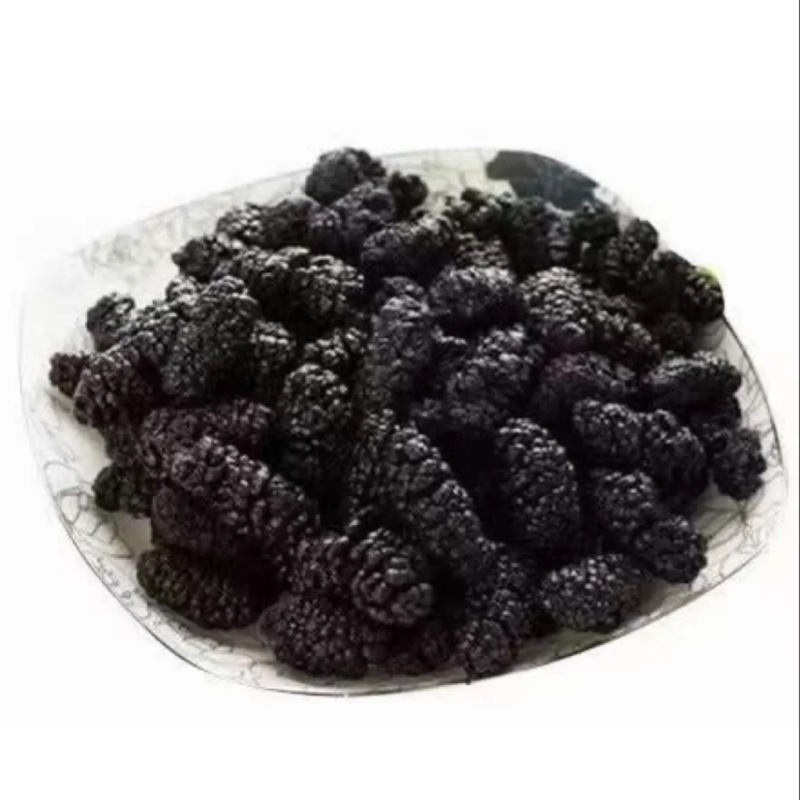 精品桑葚干，桑椹干，针对批发，无沙无碎粒，产地发货。