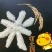 五常稻花香大米！香飘千万家。