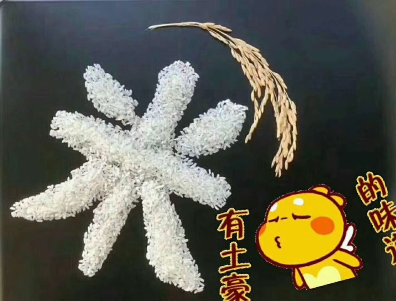 五常稻花香大米！香飘千万家。