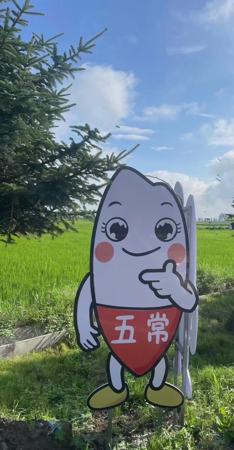五常稻花香大米！香飘千万家。