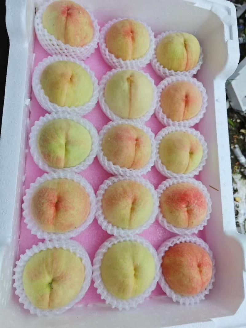 白凤水蜜桃。自然色袋