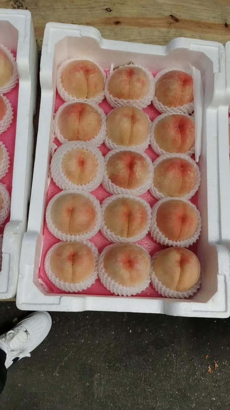 白凤水蜜桃。自然色袋