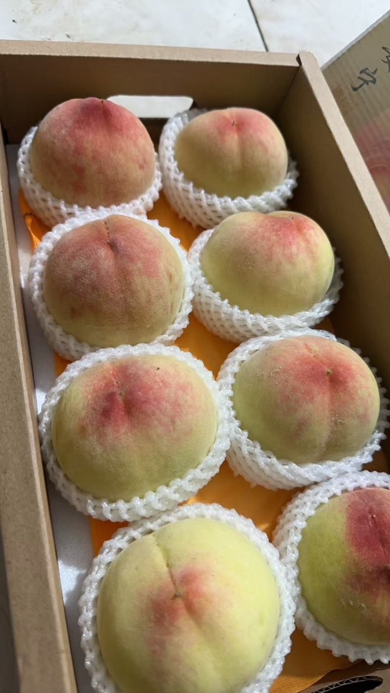白凤水蜜桃。自然色袋