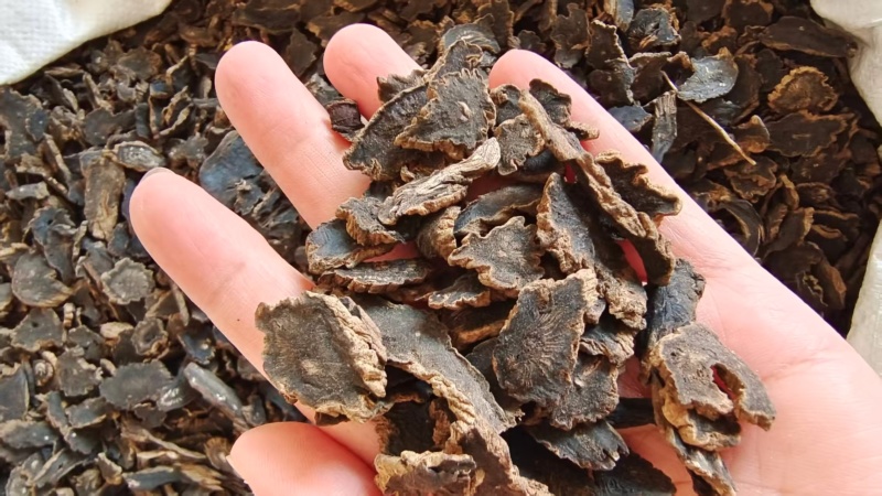 玄参各种规格2斤包邮量大优惠