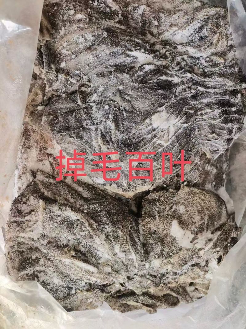 掉毛百叶