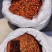 栀子江西自然生长小栀子2斤包邮量大优惠