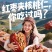枣夹核桃新疆特产新疆大红枣夹心仁派旗舰店孕妇单独包装大个