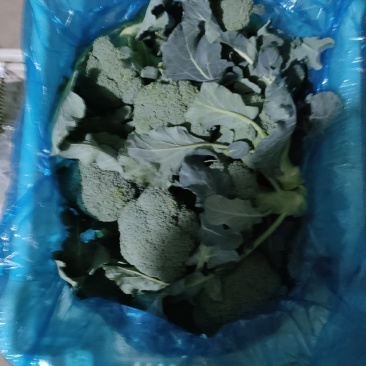 西兰花