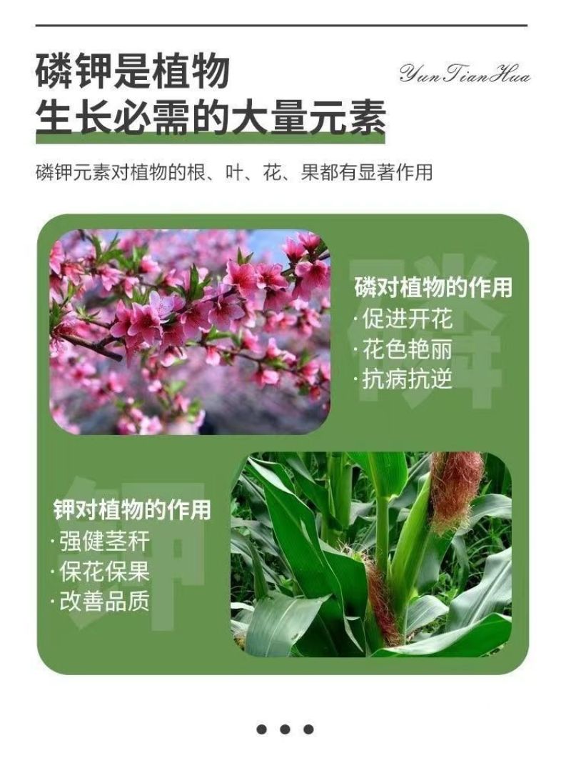 云天化磷酸二氢钾高纯度99叶面肥农用磷酸二氢钾磷钾肥水溶