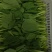 南通南京青菜油菜毛白菜交个朋友