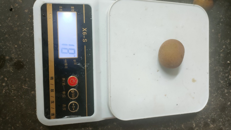 【精品】储良龙眼个大肉厚甜脆爽口当天采摘全国发