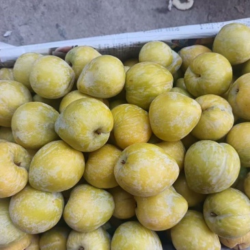 黄金奈李