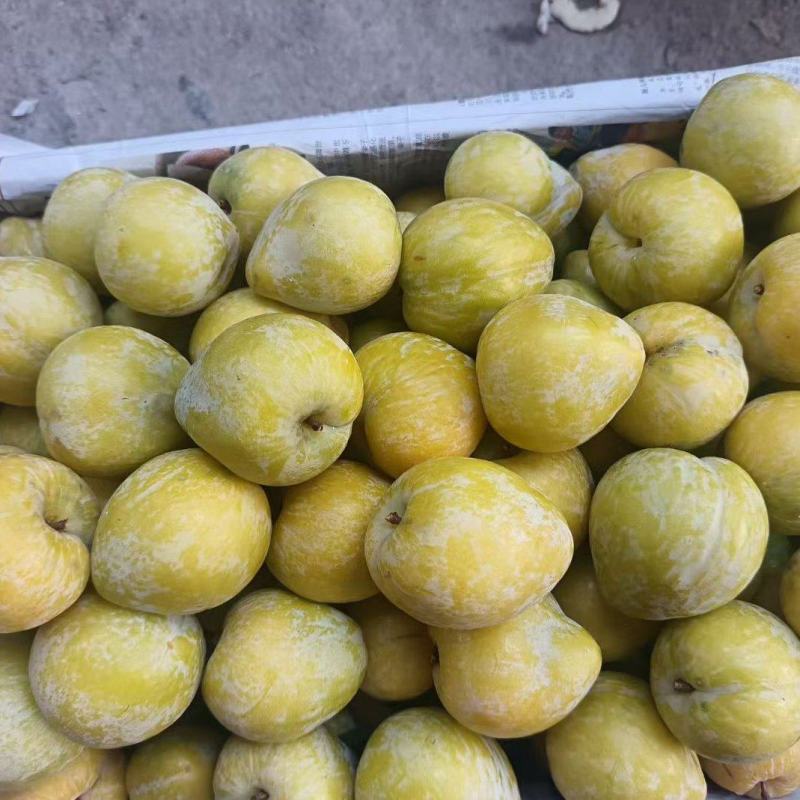 黄金奈李