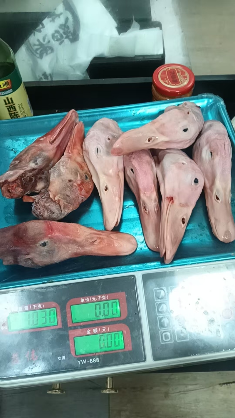 白条鸭头长期有货质量好量大从优可以视频看货
