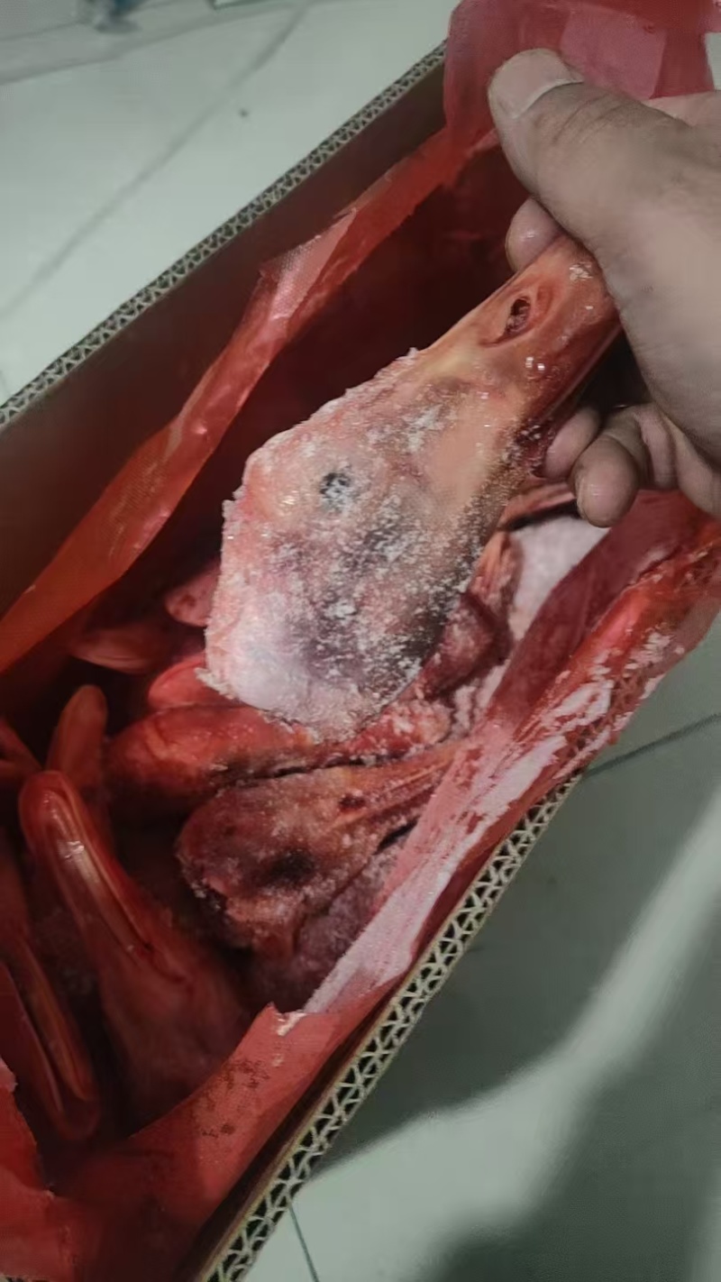 白条鸭头长期有货质量好量大从优可以视频看货