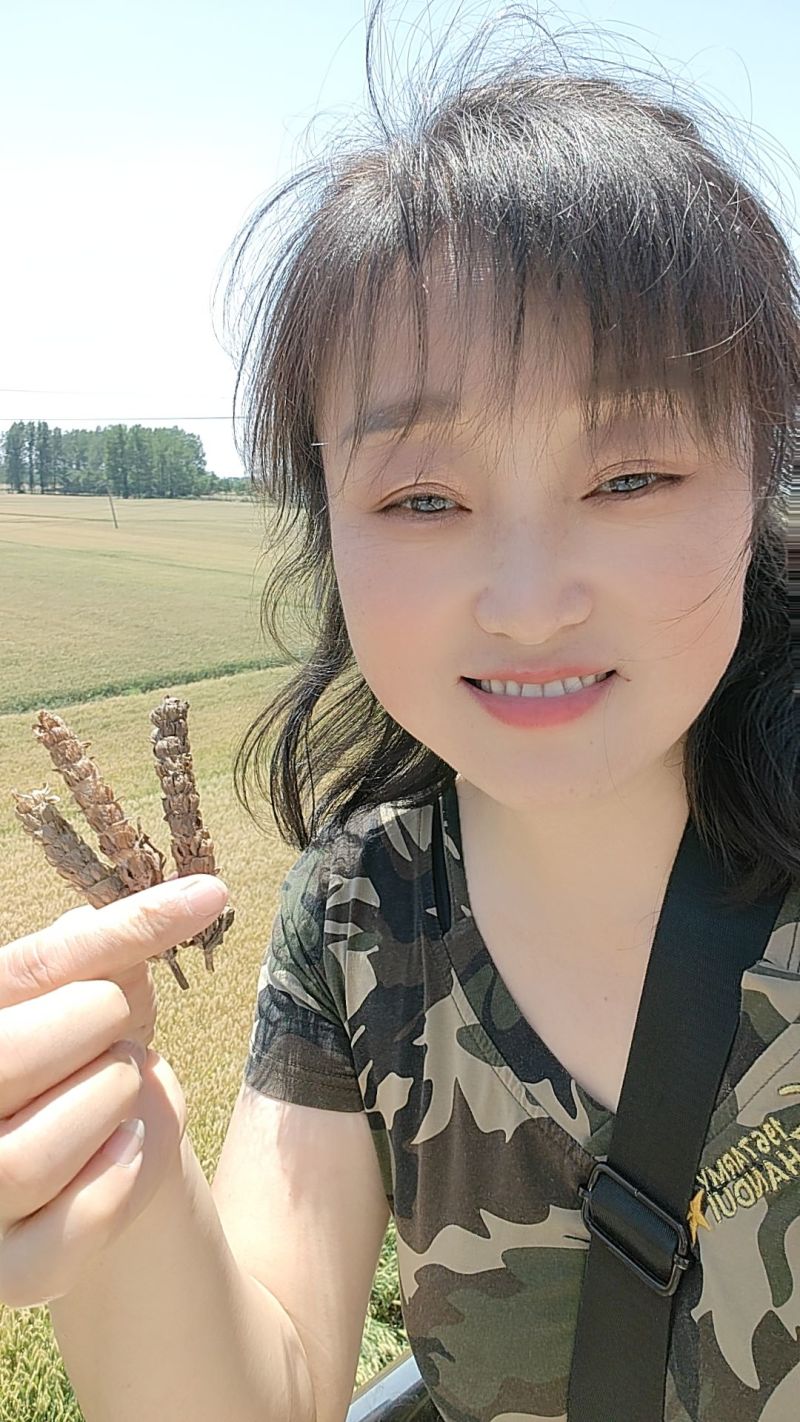 夏枯球牛抵头夏枯草产地直发自然晾晒