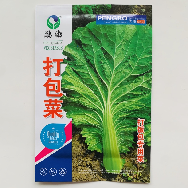 东北打包菜种子春秋两季栽培打饭包专用种子饭包菜种子