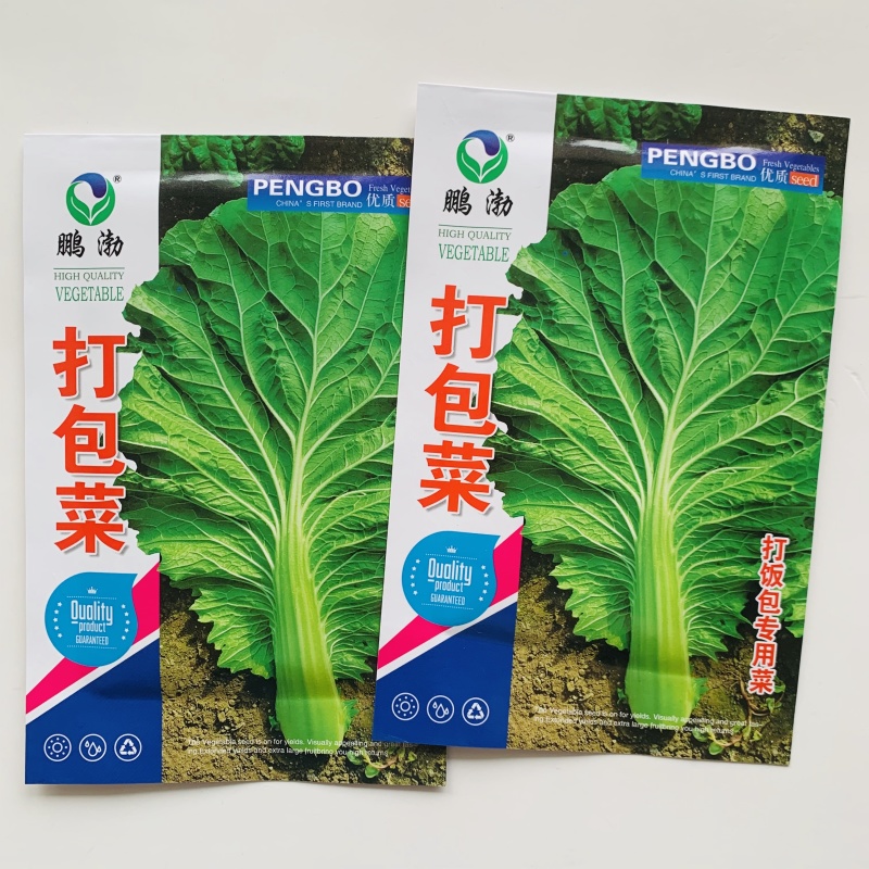东北打包菜种子春秋两季栽培打饭包专用种子饭包菜种子