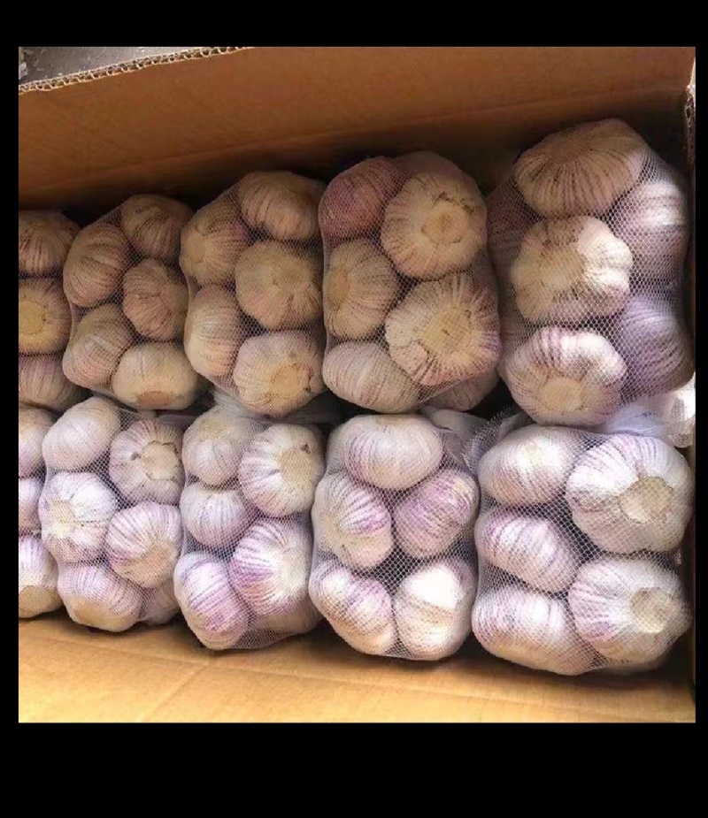 大蒜[一件代发]批发零售