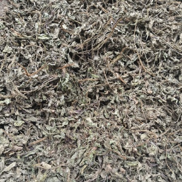 车前草，高山自然生长，自然凉晒，无杂质。