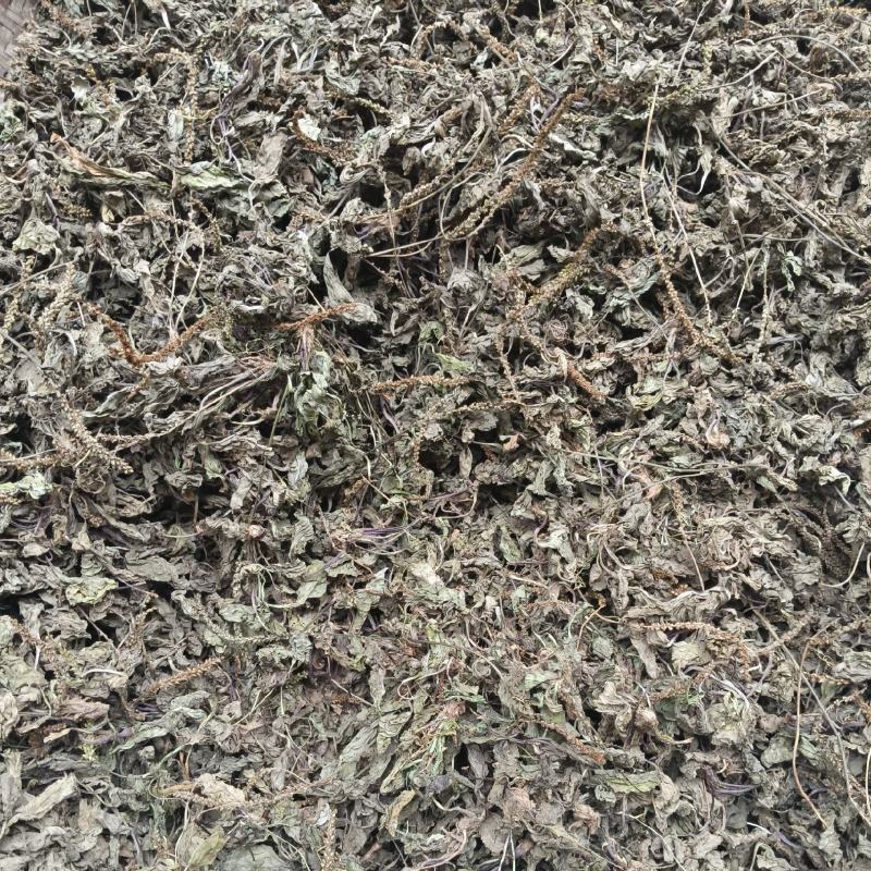 车前草，高山自然生长，自然凉晒，无杂质。
