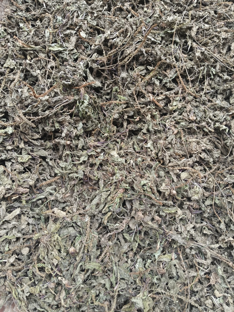 车前草，高山自然生长，自然凉晒，无杂质。