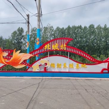 红草.锦鲤
