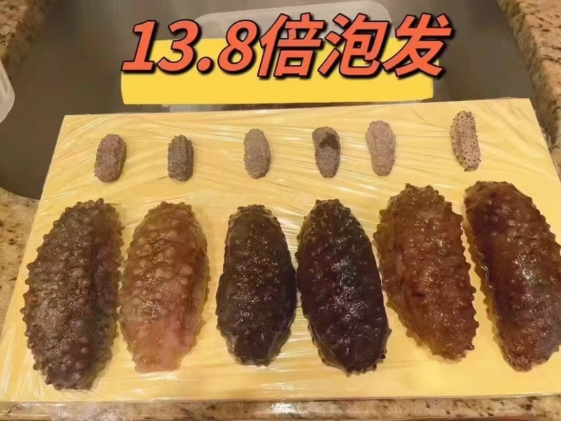海参腰参肥仔参厚肉足干鲍鱼参南美参酒店食材