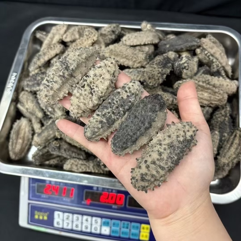 海参腰参肥仔参厚肉足干鲍鱼参南美参酒店食材