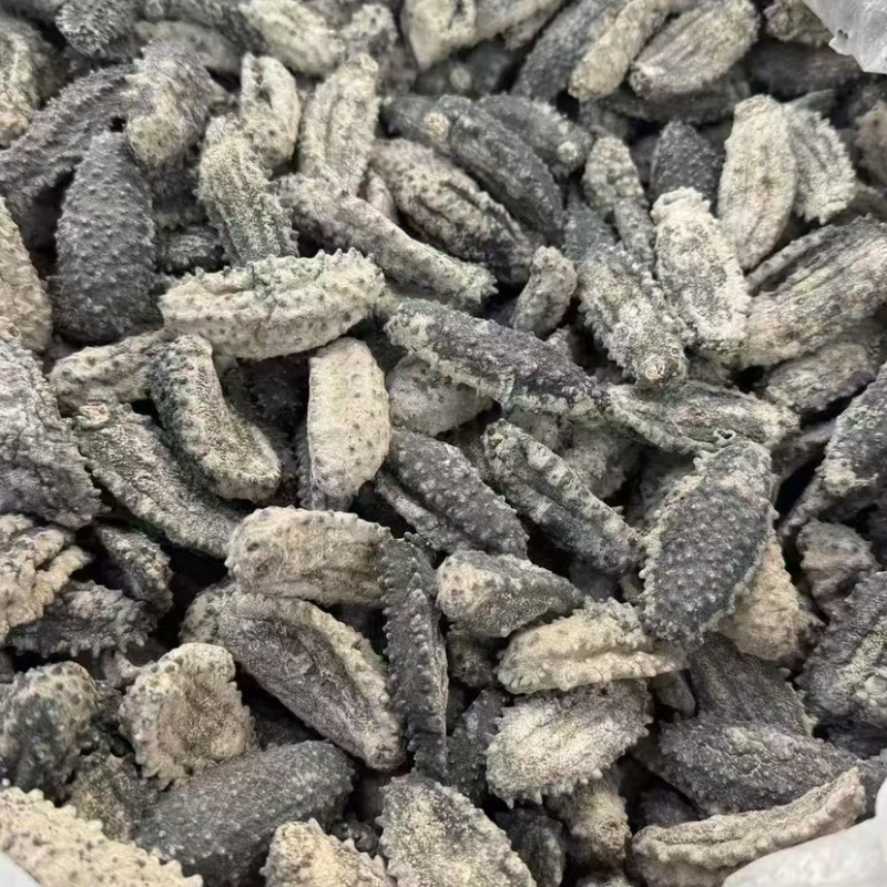海参腰参肥仔参厚肉足干鲍鱼参南美参酒店食材