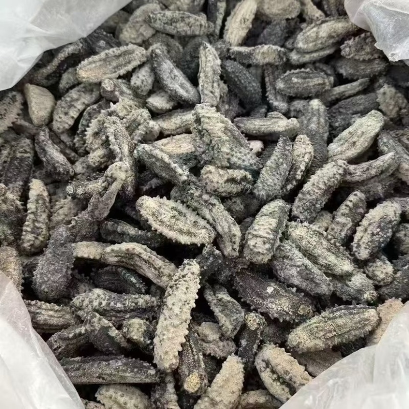 海参腰参肥仔参厚肉足干鲍鱼参南美参酒店食材
