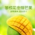 攀枝花大金煌芒量大无忧品质一级