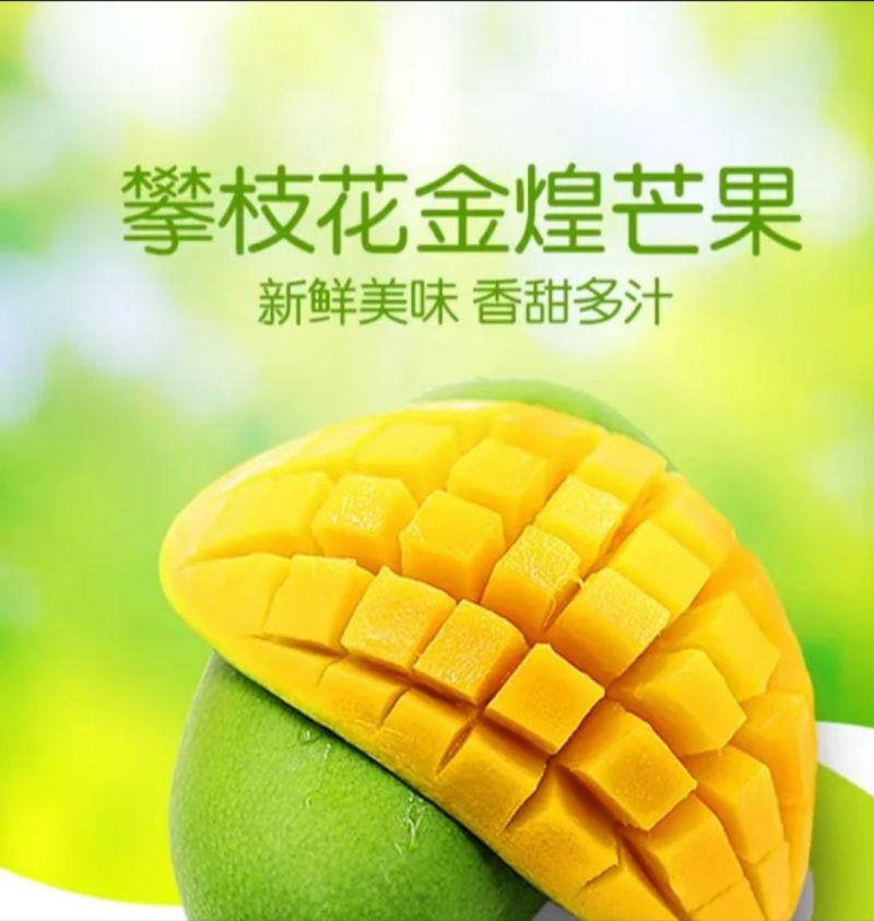 攀枝花大金煌芒量大无忧品质一级