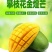攀枝花大金煌芒量大无忧品质一级