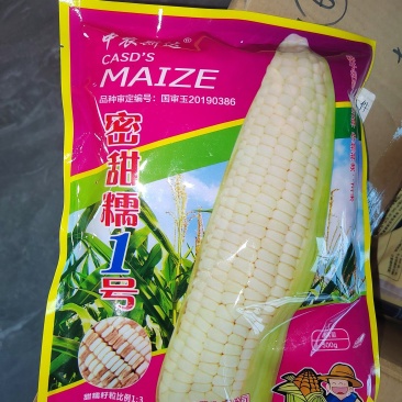蜜甜糯1号