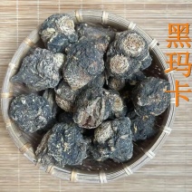 黑玛卡（个）云南黑玛卡泡酒